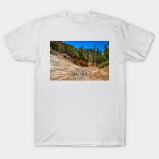 Lick Wash Trail Hike T-Shirt